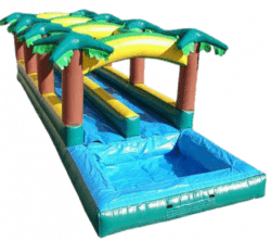 Tropical Slip & Slide Dual Lane