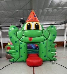 IMG 2645 1773009003 Froggy Playland