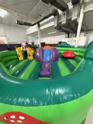 IMG 2648 1773009003 Froggy Playland